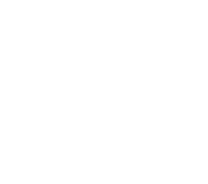 Netmediagroup